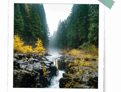 Abschiedsrituale – Ideen und Tipps