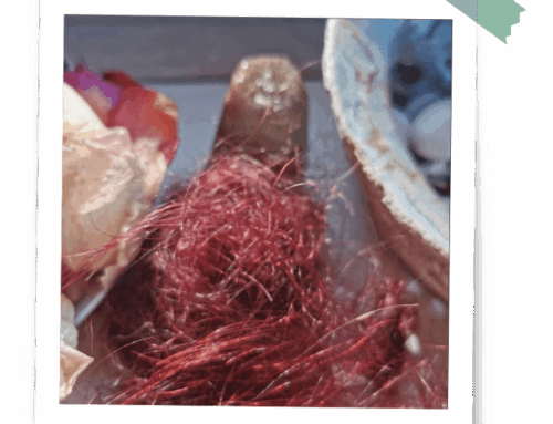 Haare im Ritual – Tipps & Berichte