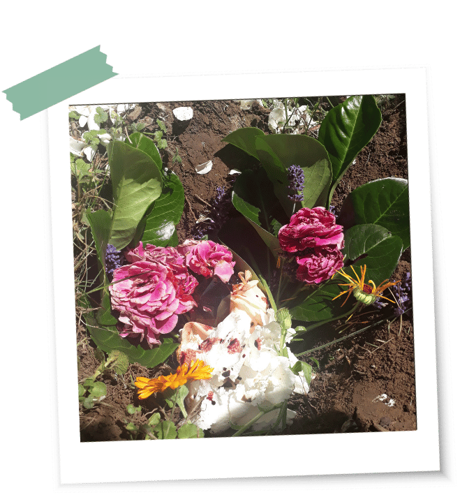Blumen und Pflanzen auf der Erde bei einem kleinen Grab bei einem Abschiedsritual nach einer Fehlgeburt