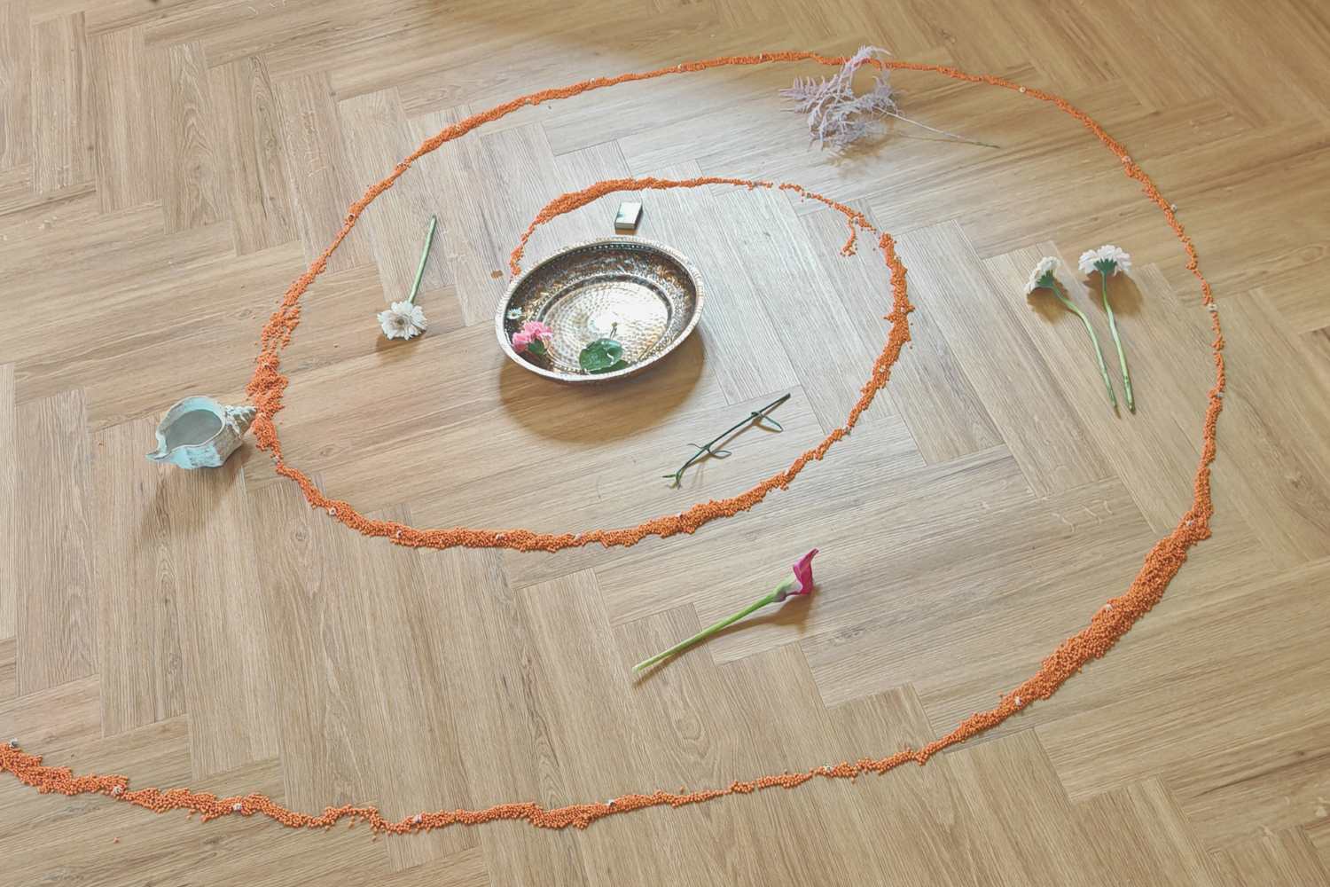 Spirale aus roten Linsen am Boden bei einem Abschiedritual in Stuttgart