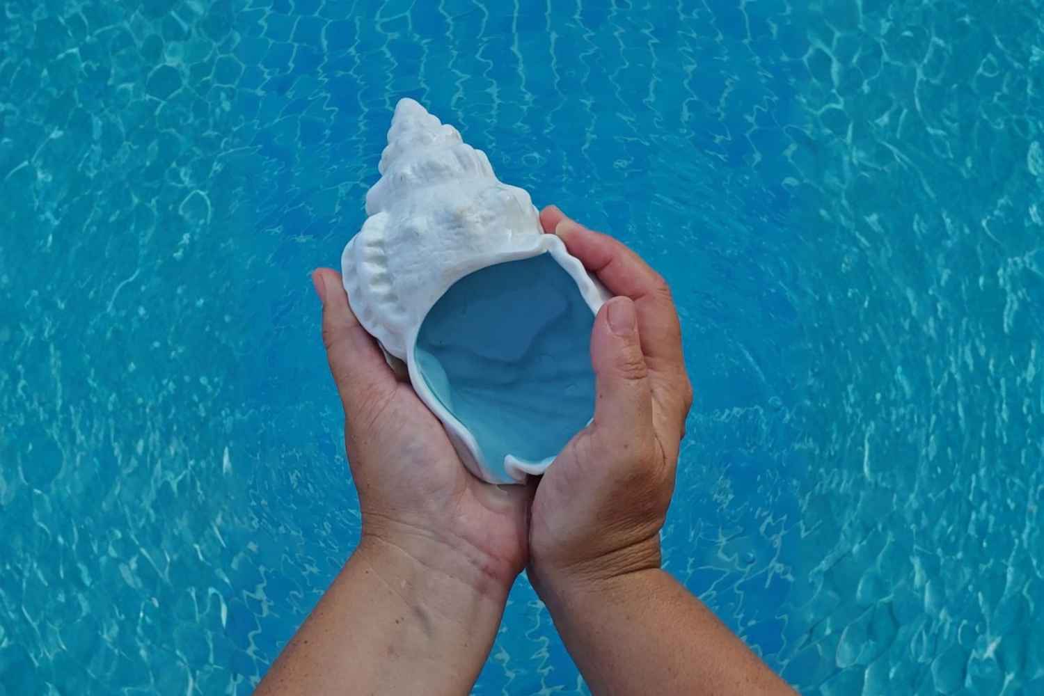 Ein Dank ans Wasser mit einem Wasserritual und einer Muschel