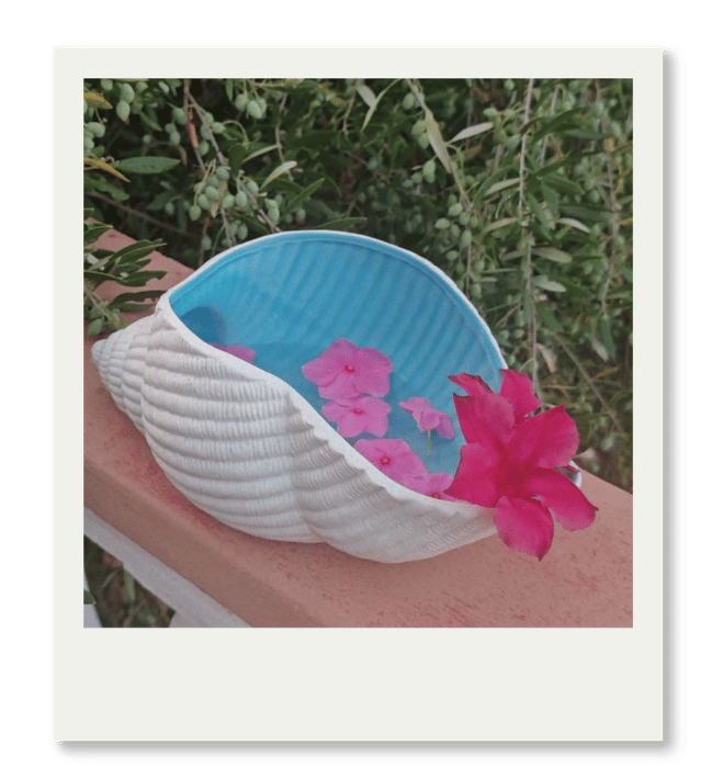 Wasserritual Muschel Muschelschale mit Wasser und Blüten für ein Wasserritual