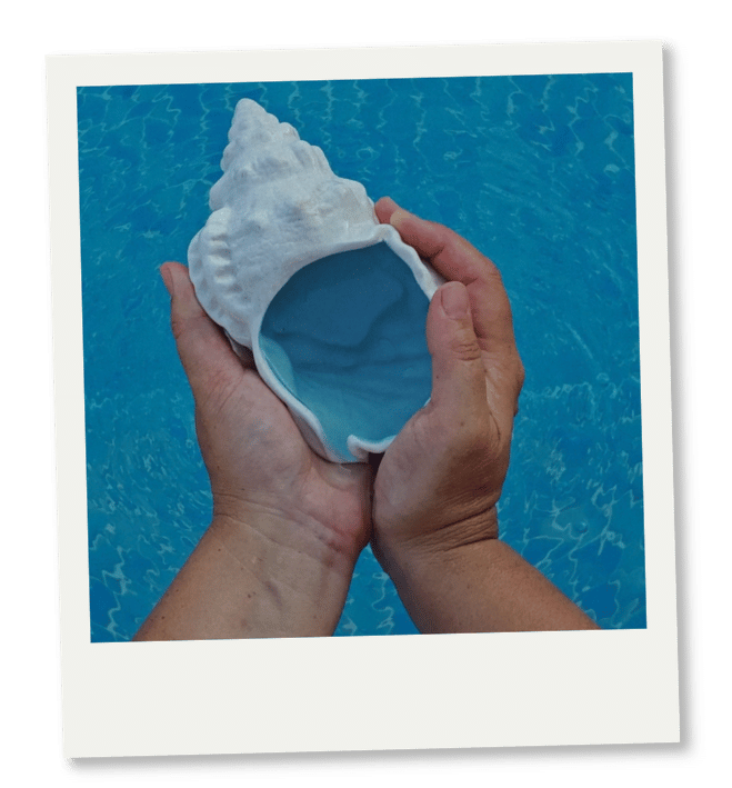 Wasserritual Zwei Hände halten eine Muschelschale bei einem Wasserritual